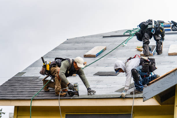Professional Gutter Installation technician working in Fairfax, MN
